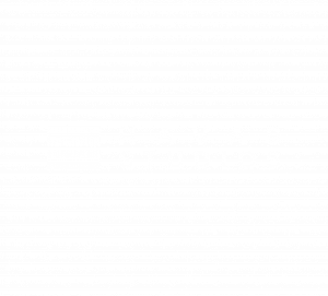 Havas Studios